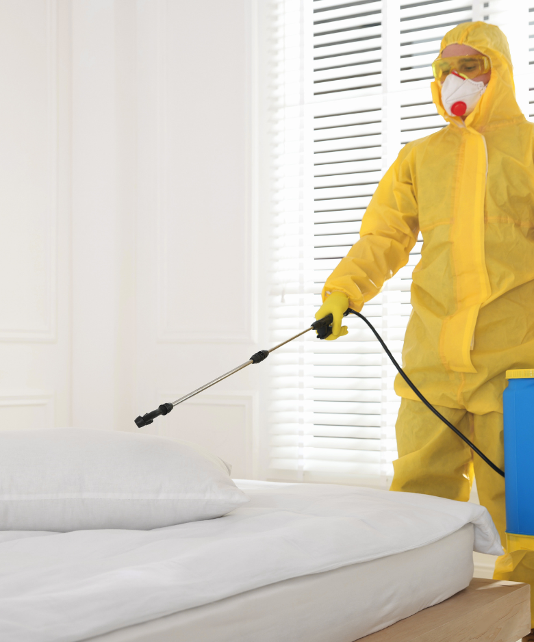 Professional Pest Control Team in Lobethal